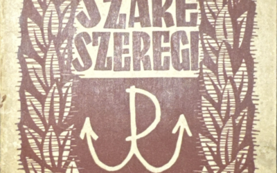 Szare szeregi