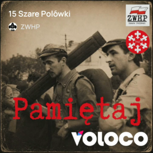 Szare Polówki